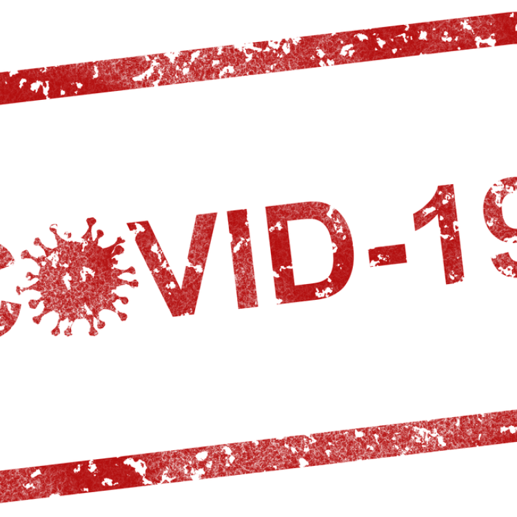 COVID-19