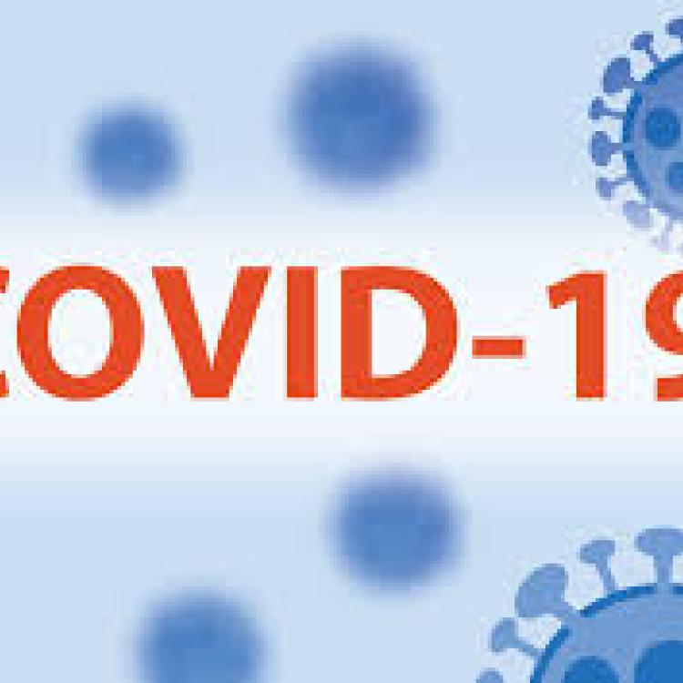 COVID-19