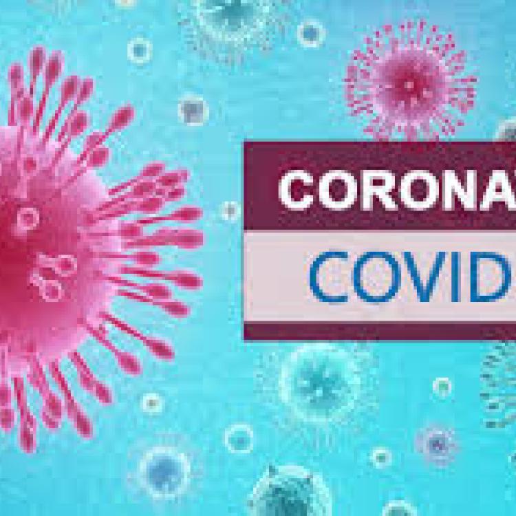 COVID-19